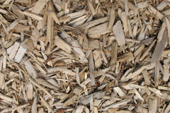biomass boilers Tynygraig